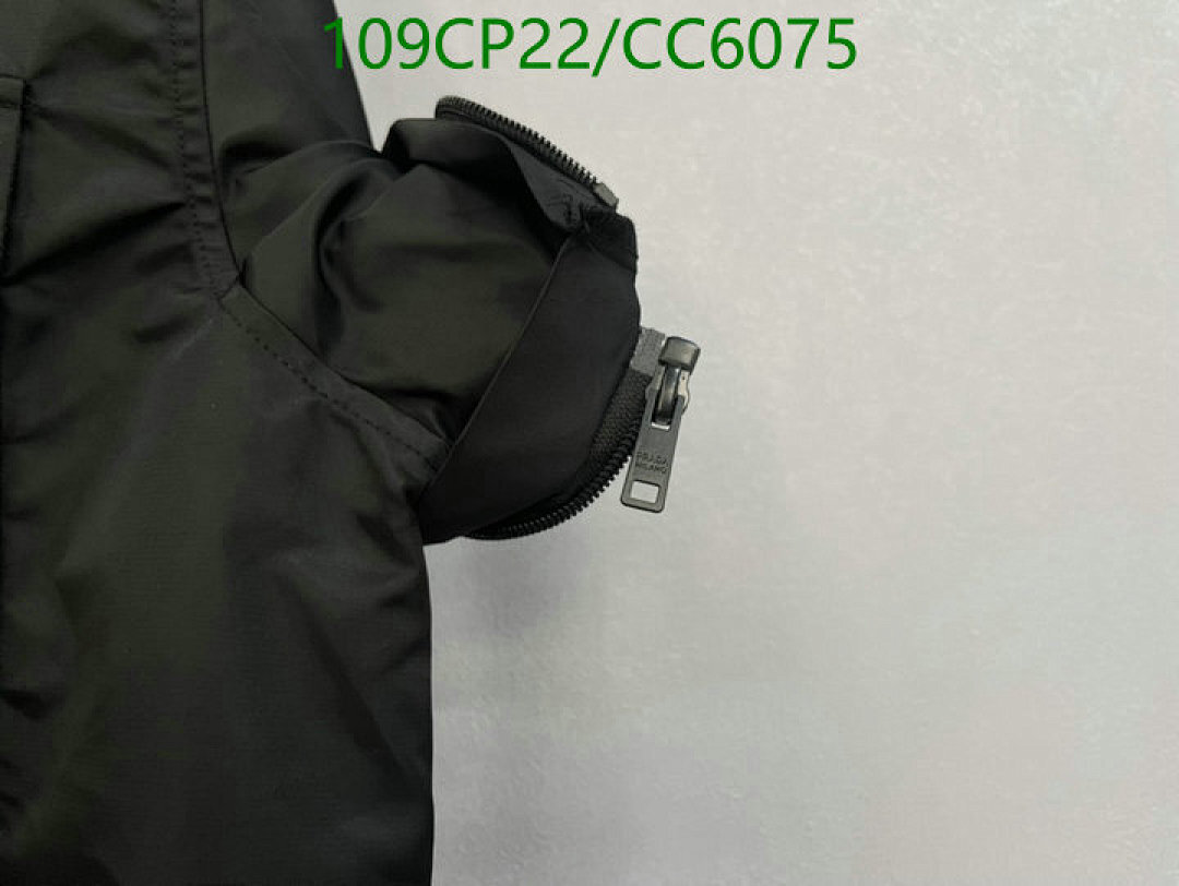 Clothing-Prada Code: CC6075 $: 109USD