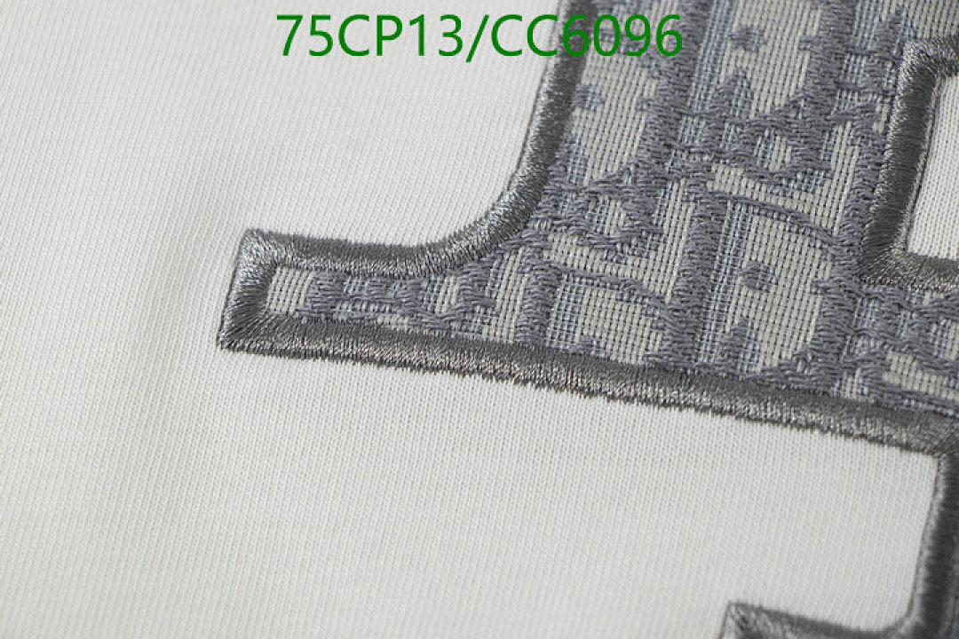 Clothing-Dior Code: CC6096 $: 75USD