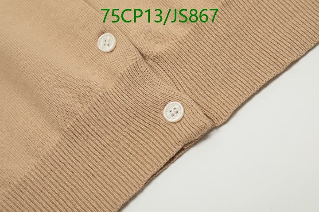 Clothing-Ralph Lauren Code: JS867 $: 75USD