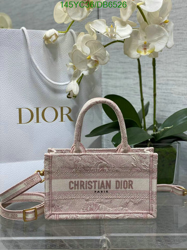 Dior Christian Dior Paris Embroidered Canvas Tote Bag