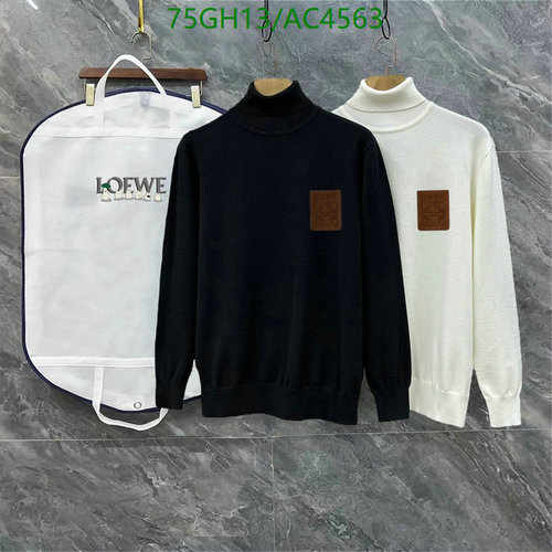 Loewe Unisex Knitted Turtleneck Sweater - Black & White