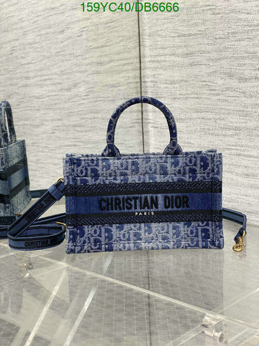 Christian Dior Denim Embroidered Tote Bag