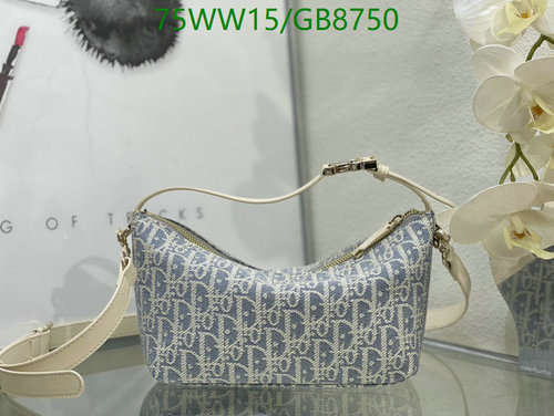 Dior Saddle Bag: Iconic Oblique Canvas & Leather Shoulder Bag, 22cm Petite