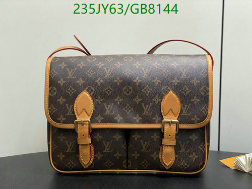 Louis Vuitton Monogram Coated Canvas and Leather Messenger Bag
