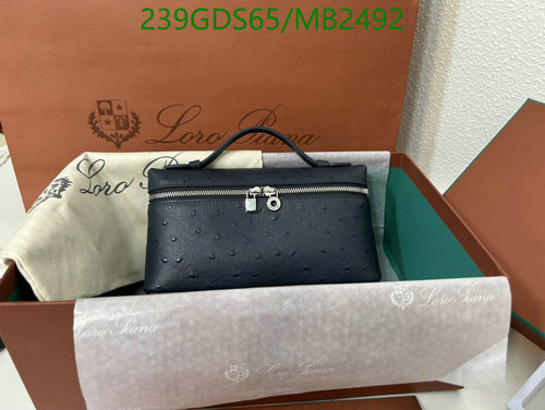Products 41 Loro Piana Mini Pouch Ostrich Leather Handbag - Elegant & Compact Design