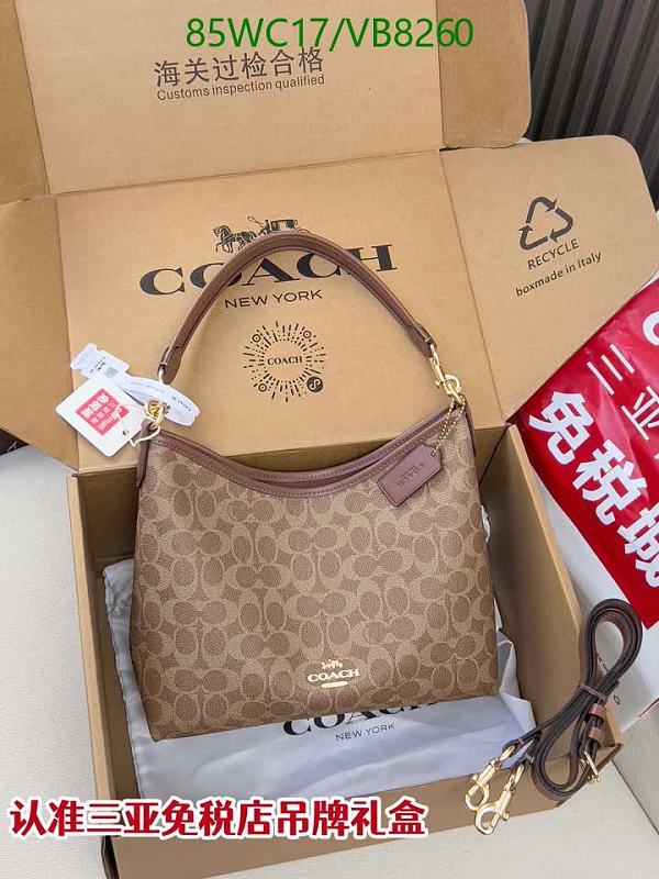 Coach Signature Coated Canvas Hobo Bag - Brown