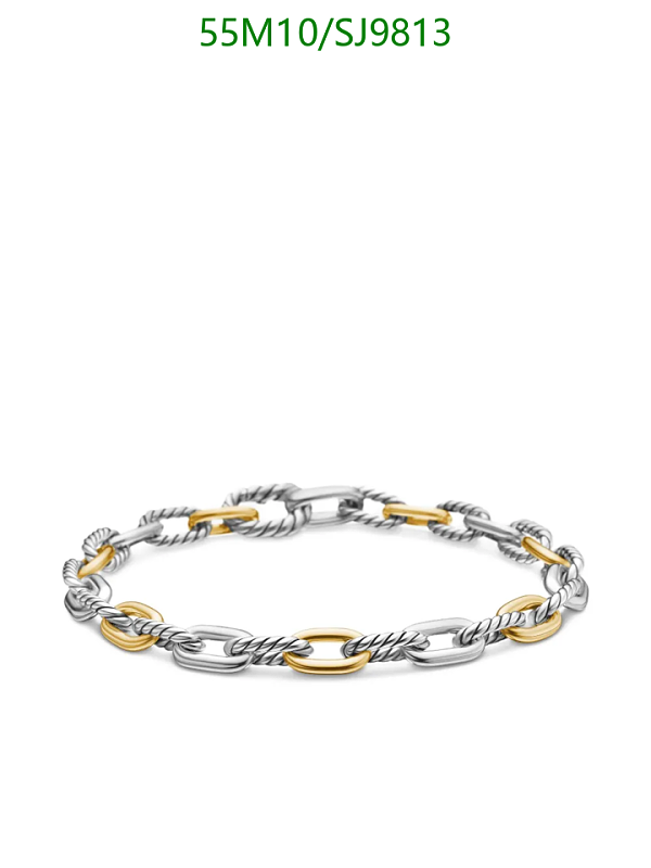 David Yurman Sterling Silver & 18K Yellow Gold Chain Link Bracelet